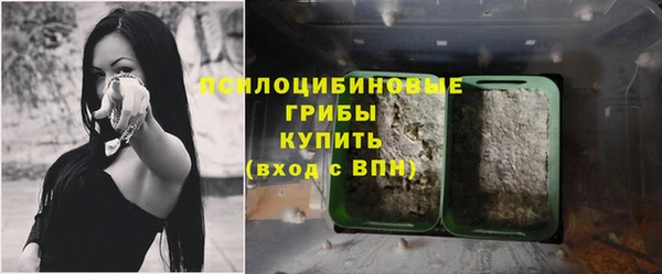 гашик Володарск