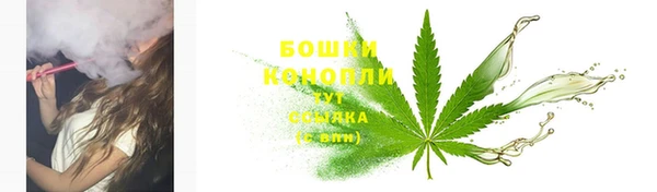 мдпв Волосово