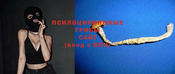 гашик Володарск