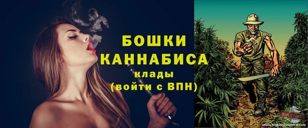 мдпв Волосово