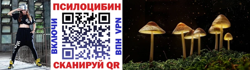 купить  цена  OMG ССЫЛКА  Псилоцибиновые грибы ЛСД  Новоуральск 